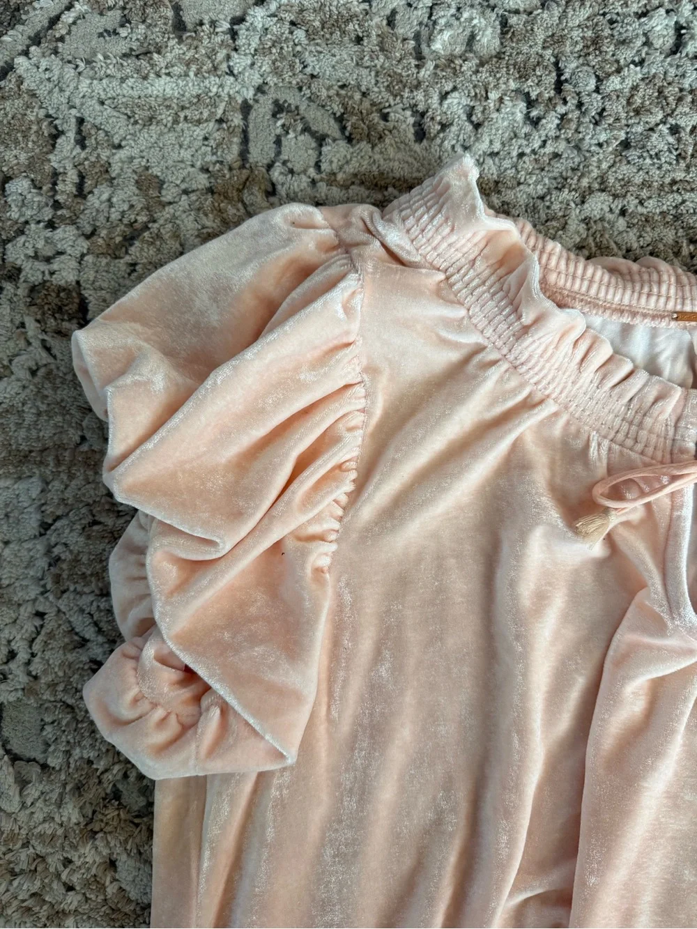 Free People Soft Blush Velvet Puff Sleeve Top